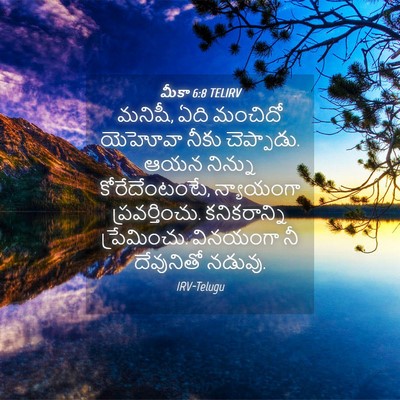 Picture 04 - మీకా 6:8 TELIRV - మనిషీ, ఏది మంచిదో - Bible Verse Picture