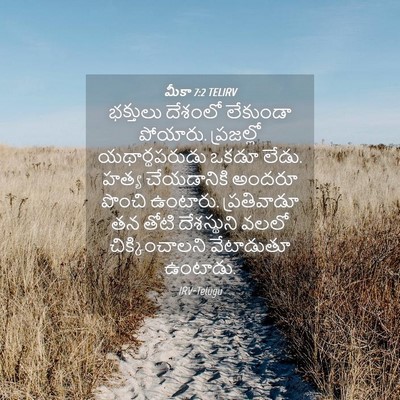 Picture 04 - మీకా 7:2 TELIRV - భక్తులు దేశంలో - Bible Verse Picture