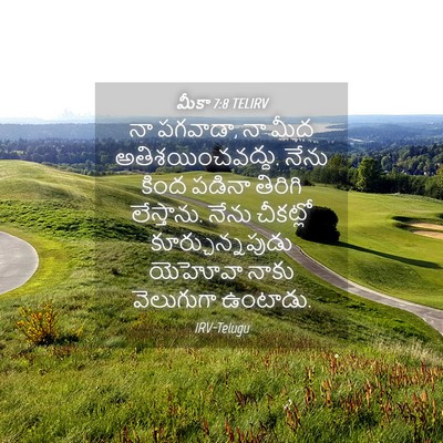 Picture 04 - మీకా 7:8 TELIRV - నా పగవాడా, నా మీద - Bible Verse Picture