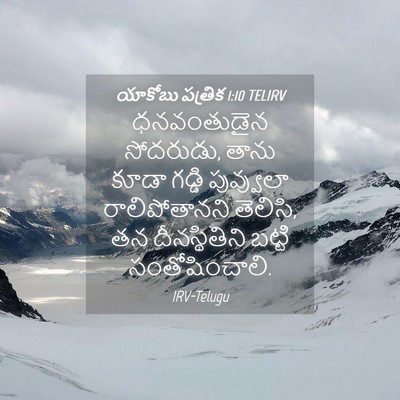 Picture 04 - యాకోబు పత్రిక 1:10 TELIRV - ధనవంతుడైన - Bible Verse Picture