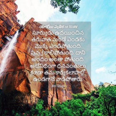 Picture 04 - యాకోబు పత్రిక 1:11 TELIRV - సూర్యుడు ఉదయించిన - Bible Verse Picture