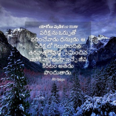 Picture 04 - యాకోబు పత్రిక 1:12 TELIRV - పరీక్షను ఓర్పుతో - Bible Verse Picture