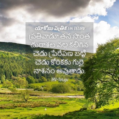 Picture 04 - యాకోబు పత్రిక 1:14 TELIRV - ప్రతివాడూ తన సొంత - Bible Verse Picture