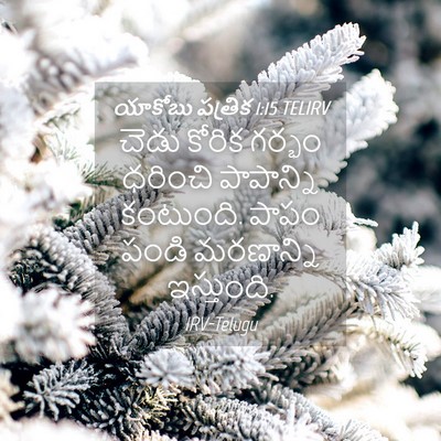 Picture 04 - యాకోబు పత్రిక 1:15 TELIRV - చెడు కోరిక గర్భం - Bible Verse Picture