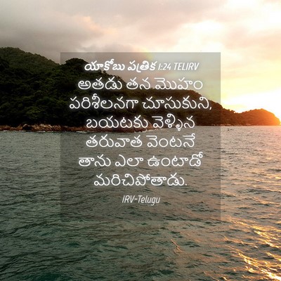 Picture 04 - యాకోబు పత్రిక 1:24 TELIRV - అతడు తన మొహం - Bible Verse Picture