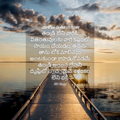 Picture 04 - యాకోబు పత్రిక 1:27 TELIRV - తండ్రి లేని - Bible Verse Picture