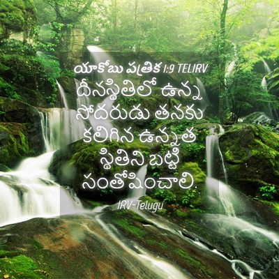 Picture 04 - యాకోబు పత్రిక 1:9 TELIRV - దీనస్థితిలో ఉన్న - Bible Verse Picture