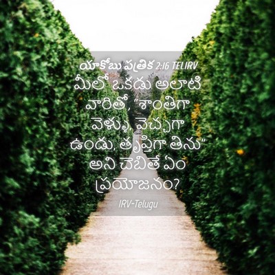 Picture 04 - యాకోబు పత్రిక 2:16 TELIRV - మీలో ఒకడు అలాటి - Bible Verse Picture