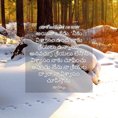 Picture 04 - యాకోబు పత్రిక 2:18 TELIRV - అయినా ఒకడు, “నీకు - Bible Verse Picture