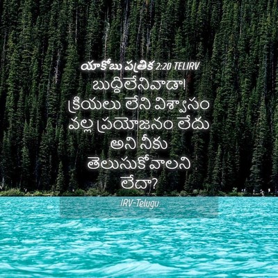 Picture 04 - యాకోబు పత్రిక 2:20 TELIRV - బుద్ధిలేనివాడా! - Bible Verse Picture