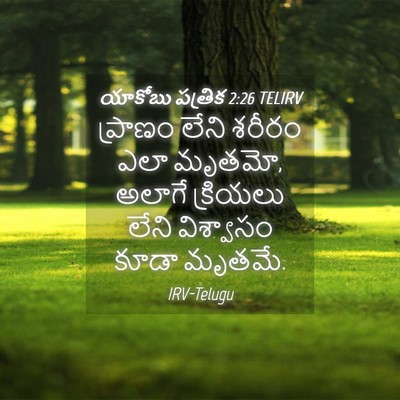 Picture 04 - యాకోబు పత్రిక 2:26 TELIRV - ప్రాణం లేని శరీరం - Bible Verse Picture