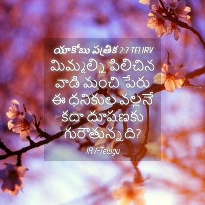 Picture 04 - యాకోబు పత్రిక 2:7 TELIRV - మిమ్మల్ని పిలిచిన - Bible Verse Picture