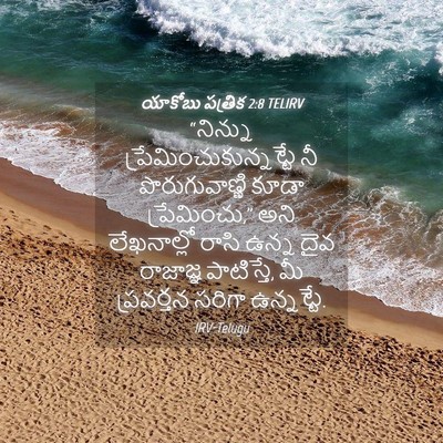 Picture 04 - యాకోబు పత్రిక 2:8 TELIRV - “నిన్ను - Bible Verse Picture