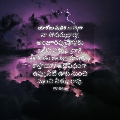 Picture 04 - యాకోబు పత్రిక 3:12 TELIRV - నా సోదరులారా, - Bible Verse Picture
