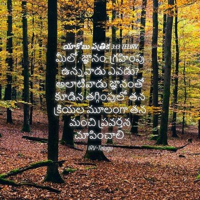 Picture 04 - యాకోబు పత్రిక 3:13 TELIRV - మీలో, జ్ఞానం, - Bible Verse Picture