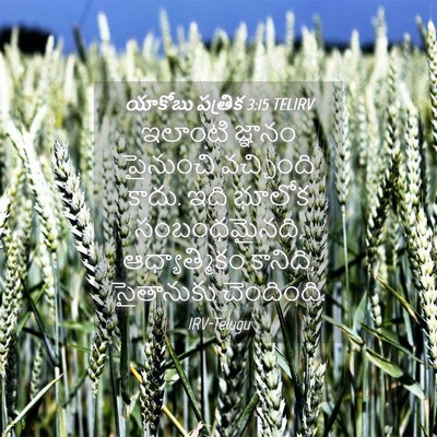 Picture 04 - యాకోబు పత్రిక 3:15 TELIRV - ఇలాంటి జ్ఞానం - Bible Verse Picture