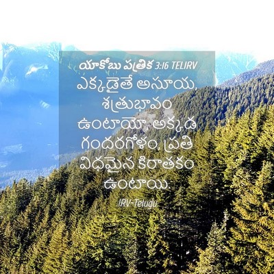 Picture 04 - యాకోబు పత్రిక 3:16 TELIRV - ఎక్కడైతే అసూయ, - Bible Verse Picture