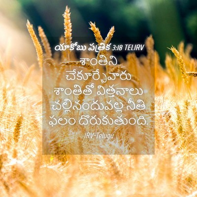 Picture 04 - యాకోబు పత్రిక 3:18 TELIRV - శాంతిని - Bible Verse Picture
