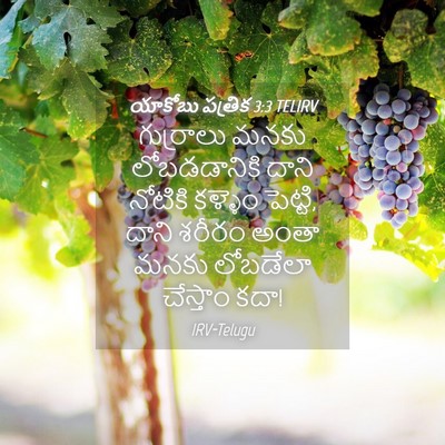 Picture 04 - యాకోబు పత్రిక 3:3 TELIRV - గుర్రాలు మనకు - Bible Verse Picture