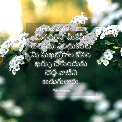 Picture 04 - యాకోబు పత్రిక 4:3 TELIRV - మీరడిగినా మీకేమీ - Bible Verse Picture