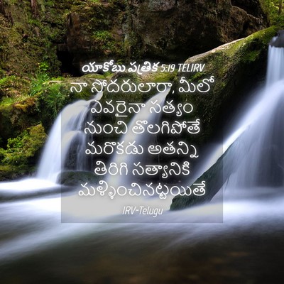 Picture 04 - యాకోబు పత్రిక 5:19 TELIRV - నా సోదరులారా, మీలో - Bible Verse Picture