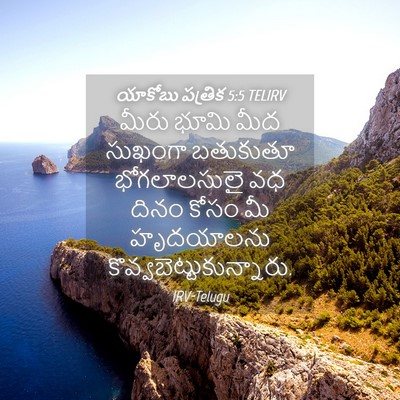 Picture 04 - యాకోబు పత్రిక 5:5 TELIRV - మీరు భూమి మీద - Bible Verse Picture