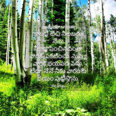 Picture 04 - యిర్మీయా 1:17 TELIRV - “కాబట్టి లేచి - Bible Verse Picture