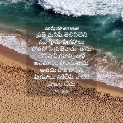 Picture 04 - యిర్మీయా 10:14 TELIRV - ప్రతి మనిషీ - Bible Verse Picture