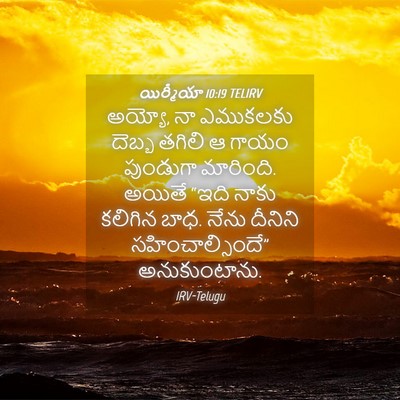 Picture 04 - యిర్మీయా 10:19 TELIRV - అయ్యో, నా ఎముకలకు - Bible Verse Picture