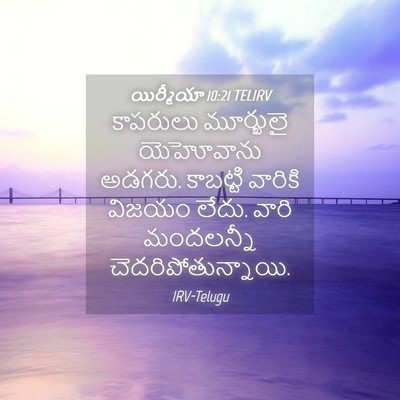 Picture 04 - యిర్మీయా 10:21 TELIRV - కాపరులు మూర్ఖులై - Bible Verse Picture