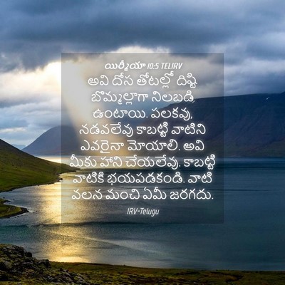 Picture 04 - యిర్మీయా 10:5 TELIRV - అవి దోస తోటల్లో - Bible Verse Picture