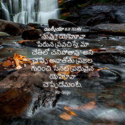 Picture 04 - యిర్మీయా 11:21 TELIRV - “నువ్వు యెహోవా - Bible Verse Picture