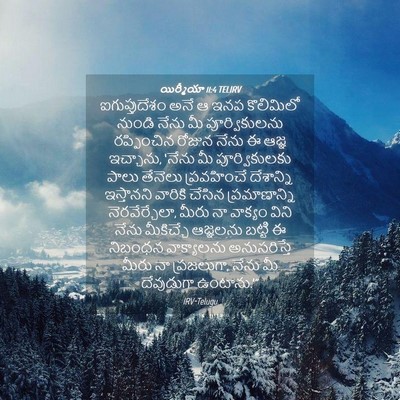 Picture 04 - యిర్మీయా 11:4 TELIRV - ఐగుప్తుదేశం అనే ఆ - Bible Verse Picture