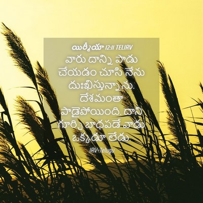Picture 04 - యిర్మీయా 12:11 TELIRV - వారు దాన్ని పాడు - Bible Verse Picture