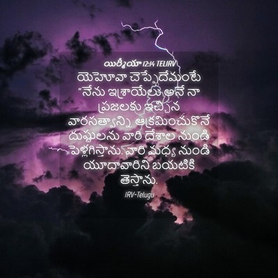 Picture 04 - యిర్మీయా 12:14 TELIRV - యెహోవా - Bible Verse Picture