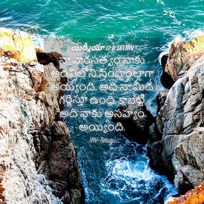 Picture 04 - యిర్మీయా 12:8 TELIRV - నా వారసత్వం నాకు - Bible Verse Picture