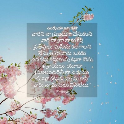 Picture 04 - యిర్మీయా 13:11 TELIRV - వారిని నా - Bible Verse Picture