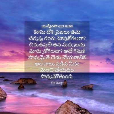 Picture 04 - యిర్మీయా 13:23 TELIRV - కూషు దేశ ప్రజలు తమ - Bible Verse Picture