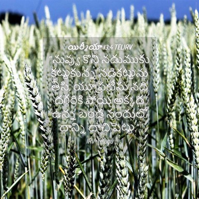Picture 04 - యిర్మీయా 13:4 TELIRV - “నువ్వు కొని - Bible Verse Picture