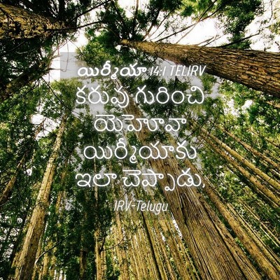 Picture 04 - యిర్మీయా 14:1 TELIRV - కరువు గురించి - Bible Verse Picture