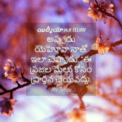Picture 04 - యిర్మీయా 14:11 TELIRV - అప్పుడు యెహోవా - Bible Verse Picture