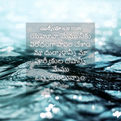Picture 04 - యిర్మీయా 14:20 TELIRV - యెహోవా, మేము నీకు - Bible Verse Picture