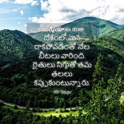 Picture 04 - యిర్మీయా 14:4 TELIRV - దేశంలో వాన - Bible Verse Picture