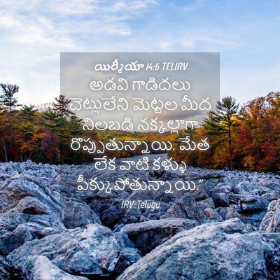 Picture 04 - యిర్మీయా 14:6 TELIRV - అడవి గాడిదలు - Bible Verse Picture