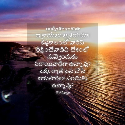 Picture 04 - యిర్మీయా 14:8 TELIRV - ఇశ్రాయేలు - Bible Verse Picture