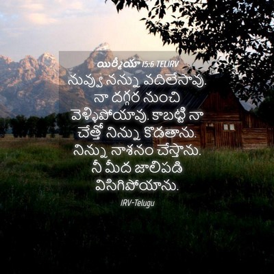 Picture 04 - యిర్మీయా 15:6 TELIRV - నువ్వు నన్ను - Bible Verse Picture
