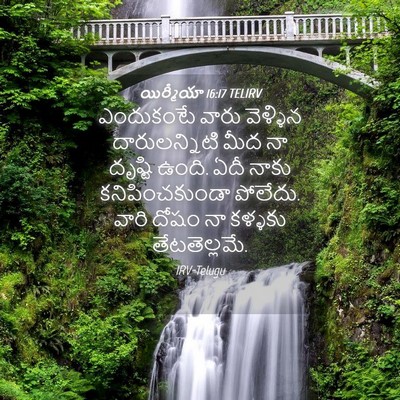 Picture 04 - యిర్మీయా 16:17 TELIRV - ఎందుకంటే వారు - Bible Verse Picture