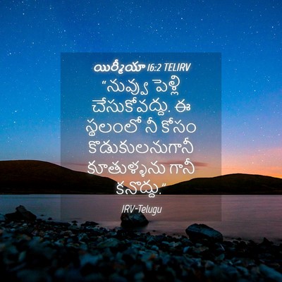 Picture 04 - యిర్మీయా 16:2 TELIRV - “నువ్వు పెళ్లి - Bible Verse Picture