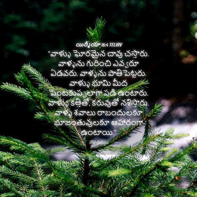 Picture 04 - యిర్మీయా 16:4 TELIRV - “వాళ్ళు ఘోరమైన - Bible Verse Picture