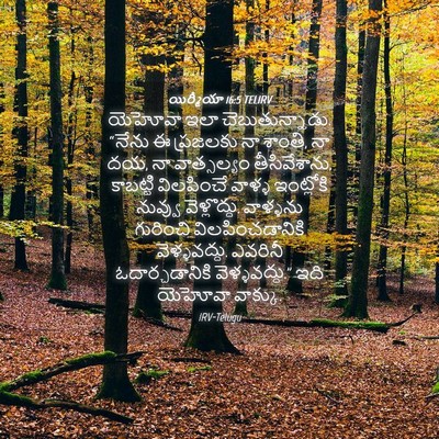 Picture 04 - యిర్మీయా 16:5 TELIRV - యెహోవా ఇలా - Bible Verse Picture